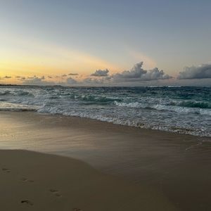 Meet your Posher, Josephine